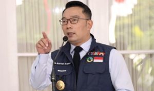 WhatsApp Image 2021-10-13 at 08.09.37