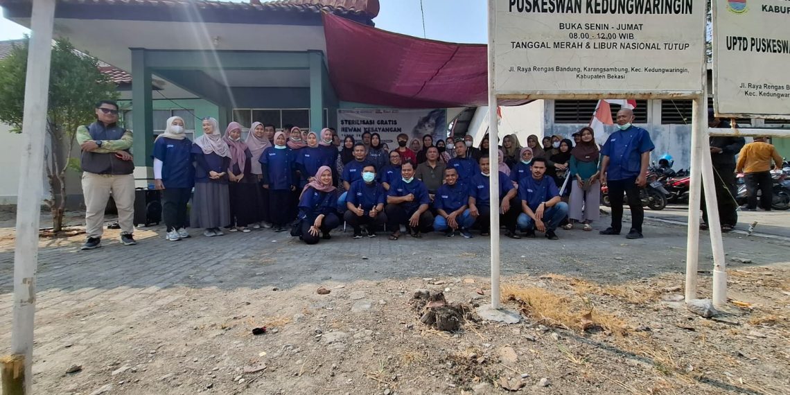 Populasi Kucing Meledak, Pemkab Bekasi Turun Tangan: 150 Ekor Dibidik Sterilisasi Gratis