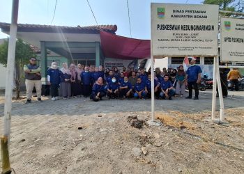 Populasi Kucing Meledak, Pemkab Bekasi Turun Tangan: 150 Ekor Dibidik Sterilisasi Gratis